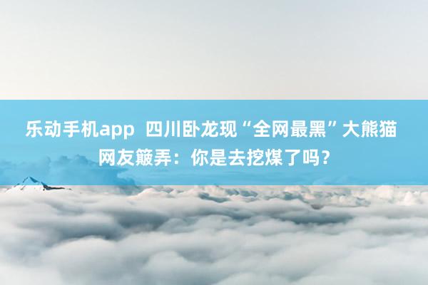 乐动手机app  四川卧龙现“全网最黑”大熊猫 网友簸弄：你是去挖煤了吗？