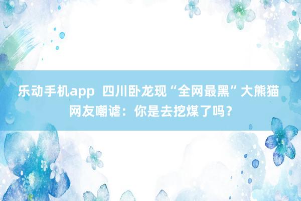 乐动手机app  四川卧龙现“全网最黑”大熊猫 网友嘲谑：你是去挖煤了吗？