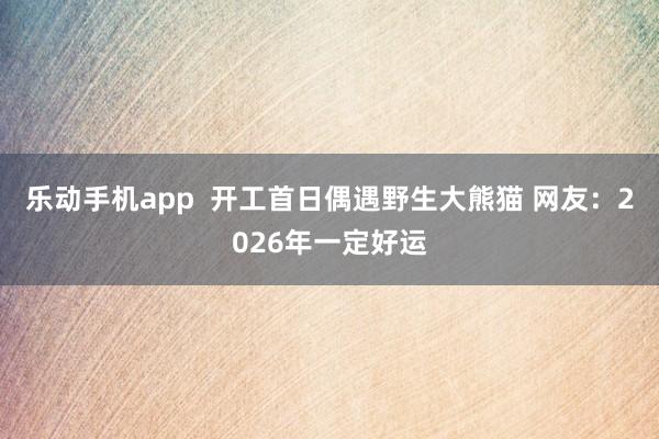 乐动手机app  开工首日偶遇野生大熊猫 网友：2026年一定好运