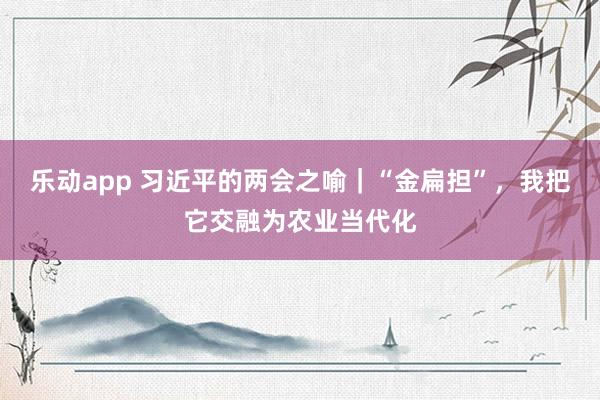 乐动app 习近平的两会之喻｜“金扁担”，我把它交融为农业当代化