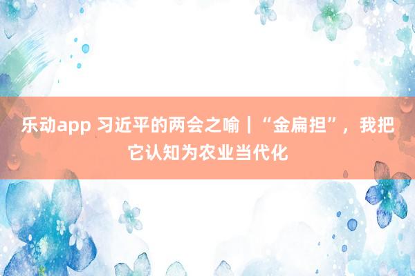 乐动app 习近平的两会之喻｜“金扁担”，我把它认知为农业当代化