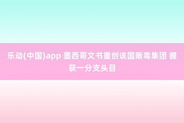 乐动(中国)app 墨西哥文书重创该国贩毒集团 握获一分支头目