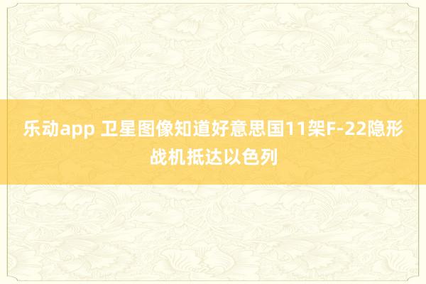 乐动app 卫星图像知道好意思国11架F-22隐形战机抵达以色列