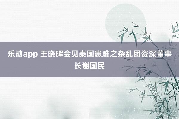 乐动app 王晓晖会见泰国患难之杂乱团资深董事长谢国民