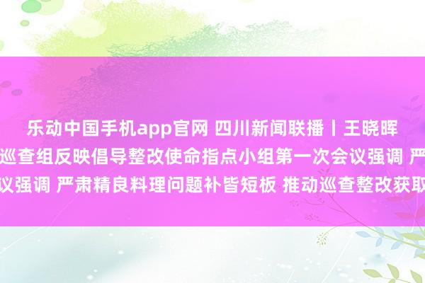 乐动中国手机app官网 四川新闻联播丨王晓晖主理召开省委落实中央巡查组反映倡导整改使命指点小组第一次会议强调 严肃精良料理问题补皆短板 推动巡查整改获取实简直在的奏效
