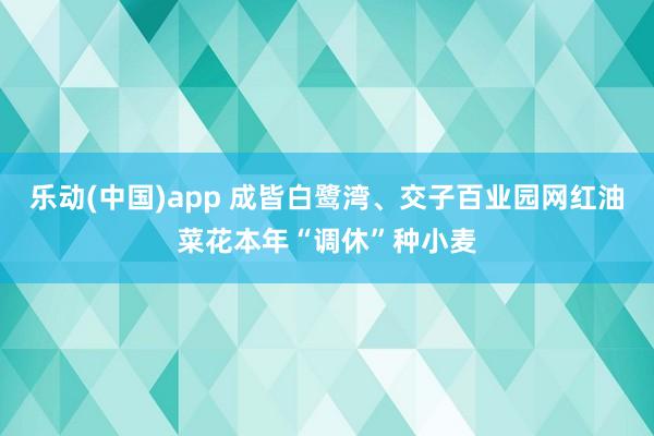 乐动(中国)app 成皆白鹭湾、交子百业园网红油菜花本年“调休”种小麦
