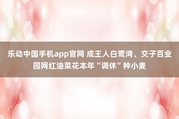 乐动中国手机app官网 成王人白鹭湾、交子百业园网红油菜花本年“调休”种小麦