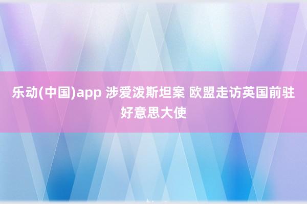 乐动(中国)app 涉爱泼斯坦案 欧盟走访英国前驻好意思大使