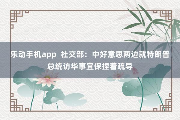 乐动手机app  社交部：中好意思两边就特朗普总统访华事宜保捏着疏导