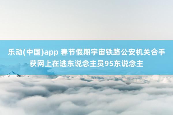 乐动(中国)app 春节假期宇宙铁路公安机关合手获网上在逃东说念主员95东说念主