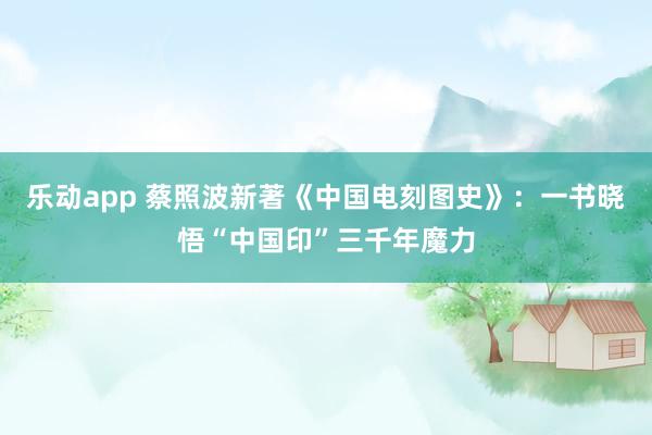乐动app 蔡照波新著《中国电刻图史》：一书晓悟“中国印”三千年魔力