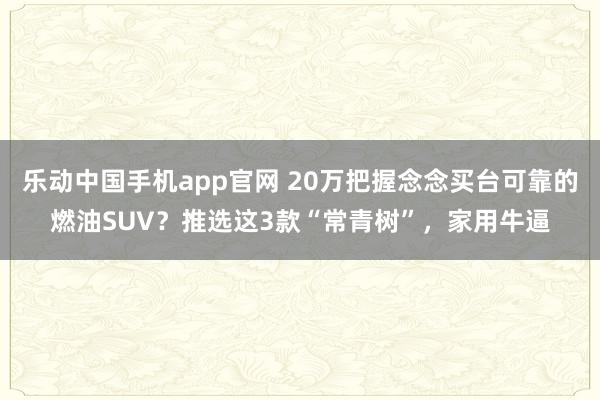 乐动中国手机app官网 20万把握念念买台可靠的燃油SUV？推选这3款“常青树”，家用牛逼